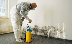 Best Environmental Consulting for Mold Prevention  in Broxton, GA