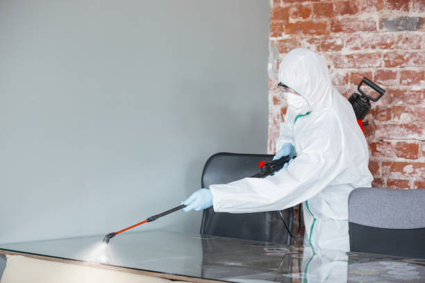 Best Emergency Mold Remediation  in Broxton, GA