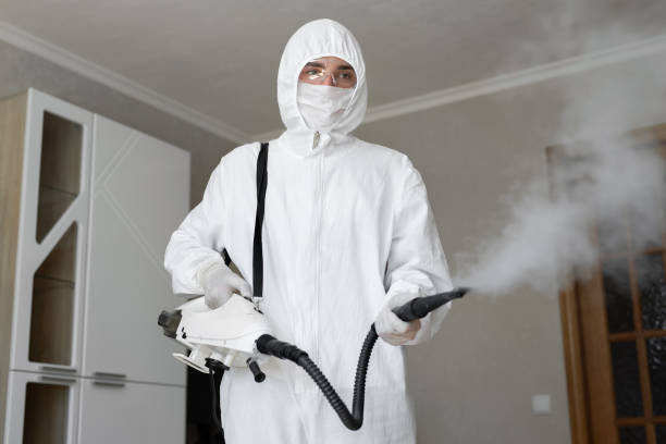 Best Commercial Mold Inspection  in Broxton, GA